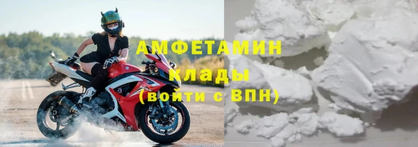 индика Верея