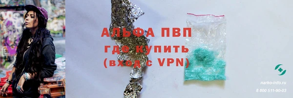 мдпв Бородино