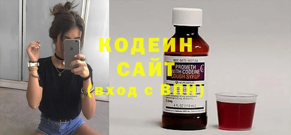 индика Верея