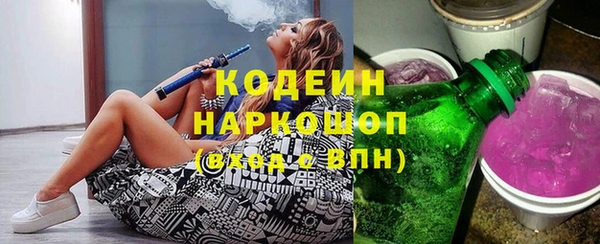 мдпв Бородино