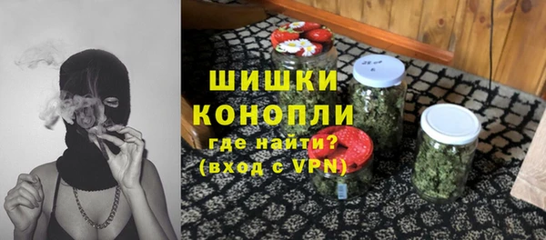 индика Верея