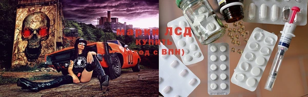 мдпв Бородино