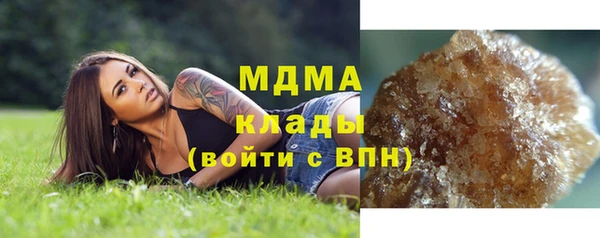 мдпв Бородино